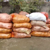 فروش پهن خشک گاو کهنه در کیسه|لوازم جانبی حیوانات|اسالم, |دیوار