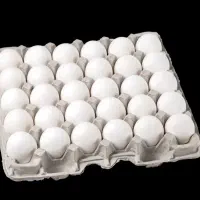 پخش تخمرغ|خوردنی و آشامیدنی|تهران, انبار نفت|دیوار