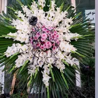 تاج گل|گل و گیاه طبیعی|گلپایگان, |دیوار