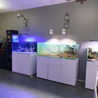 آکواریوم آماده