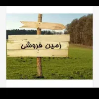 زمین تجاری سربیشه