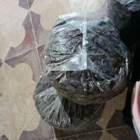 خرما درجه دو|خوردنی و آشامیدنی|شبانکاره, |دیوار