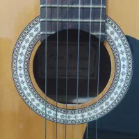 گیتار پائوچیو پروفشنال|گیتار، بیس، امپلیفایر|رامسر, |دیوار