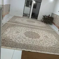 سوییت ، منزل ، دربست|اجارهٔ کوتاهمدت آپارتمان و سوئیت|مشهد, کوی راد|دیوار