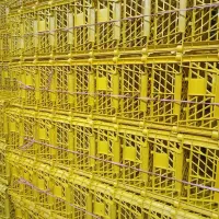 سبد ۴ کیلویی