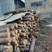 خرید و فروش چوب|خدمات باغبانی و درختکاری|جاجرود, |دیوار