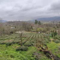 1765-متر-زمین-مسکونی