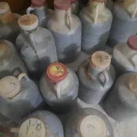 سیر ترشی 5ساله|خوردنی و آشامیدنی|قم, هفت تیر|دیوار