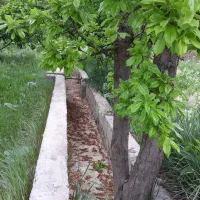 ویلاباغ دارای مجوز ساخت وبرق براسفالت|فروش خانه و ویلا|ارومیه, |دیوار