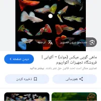 ماهی