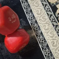 دمبل ۲کیلویی