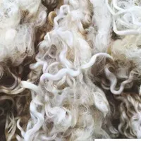 پشم گوسفند