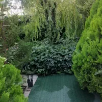 باغ مبله|اجارهٔ کوتاه‌مدت آپارتمان و سوئیت|شیراز, دکتر حسابی|دیوار