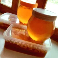 عسل کیلویی و حلبی|عمده‌فروشی|بدره, |دیوار