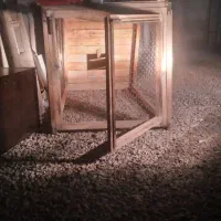 قفس مرغ|لوازم جانبی حیوانات|قم, شهرک مهدیه (مدرس)|دیوار