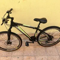 دوچرخه|دوچرخه، اسکیت، اسکوتر|کیش, |دیوار