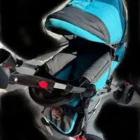 کالسکه دو حالته سالم