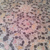 یک عدد دوازده متری تک