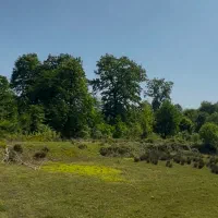 فروش گاوداری زمین استخر ماهی