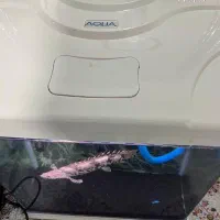 ماهی و آکواریوم زیر قیمت