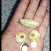 مهره قدیمی|جواهرات|کیار, |دیوار