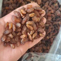 کشمش کاشمر .