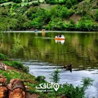 تور گردشگری در طبیعت سوادکوه