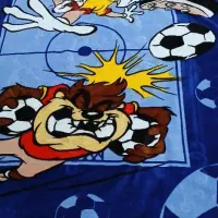 پتوی نرمینه در حد نو فقط مهمان استفاده کرده|رختخواب، بالش، پتو|دزفول, |دیوار