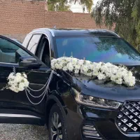 دیزاین ماشین عروس کرایه دسته گل ارایی تزین اقتصادی