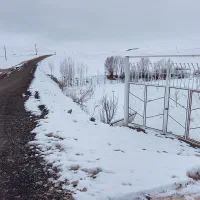 باغ-گردو-نیم-هکتار-دربستان-اباد