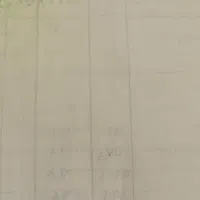 کفی پیکان وانت دوگانه