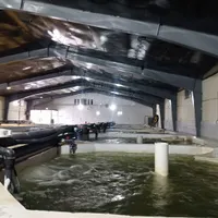کارگر ساده پرورش ماهی مداربسته