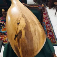 تنبور کلکسیونی استاد رضا براخانی|سازهای سنتی|تهران, شکیبا|دیوار