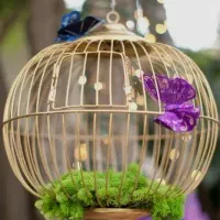 فروش لوازم پرنده وقفس