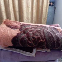 پتو پلنگی|رختخواب، بالش، پتو|کرمانشاه, |دیوار