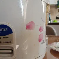 پلوپز سالم|اجاق گاز و لوازم برقی پخت‌وپز|رشت, پاستوریزه|دیوار