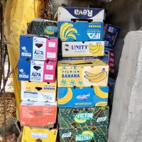 کارتون موز تازه