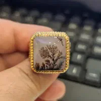 انگشتر شجر باباقوری