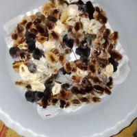جوجه محلی یکروزه