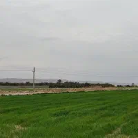 زمین500متری مناسب کارگاه وباغ و...