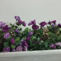 گل طبیعی و گلدان و پایه گل|گل و گیاه طبیعی|مشهد, هنرور|دیوار