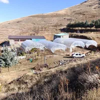 اجاره  سوله ۲۰۰ متری|اجارهٔ دفتر صنعتی، کشاورزی، تجاری|سنندج, |دیوار