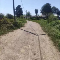 فروش زمین مسکونی 691متر رشت روستای طرازکوه(نسق)|فروش زمین و ملک کلنگی|رشت, پسیخان|دیوار