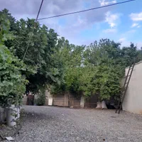 سوئیت امیر