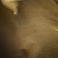 سیم کارت رند ایرانسل