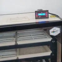 دستگاه جوجه کشی اسکندری