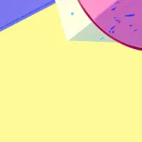 کارتکس گم کردم