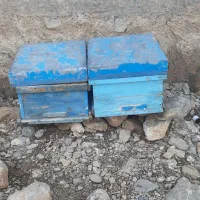 کندو|حیوانات مزرعه|بیرانوند, |دیوار