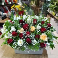 اجاره ماشین عروس|خودرو اجاره‌ای|دزفول, |دیوار