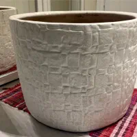 گلدان|گل و گیاه طبیعی|تهران, درختی|دیوار